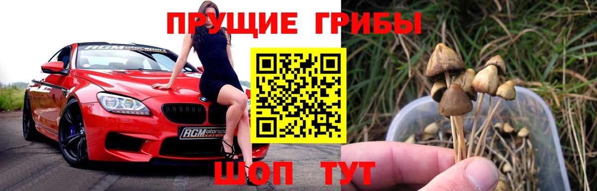 Псилоцибиновые грибы Cubensis  Вход с VPN  Надым 
